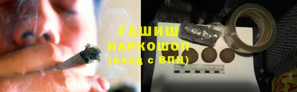 прущие грибы Саяногорск