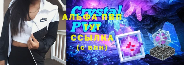 сатива Арсеньев