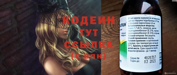 хмурый Балабаново