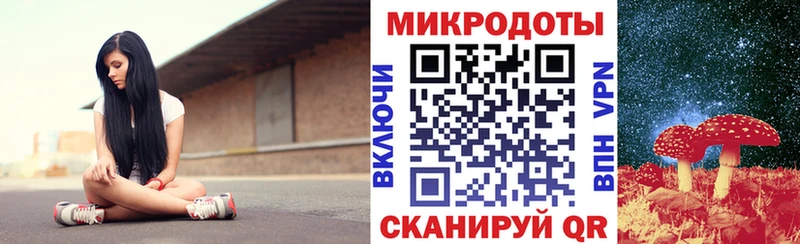 Псилоцибиновые грибы Psilocybe Оса